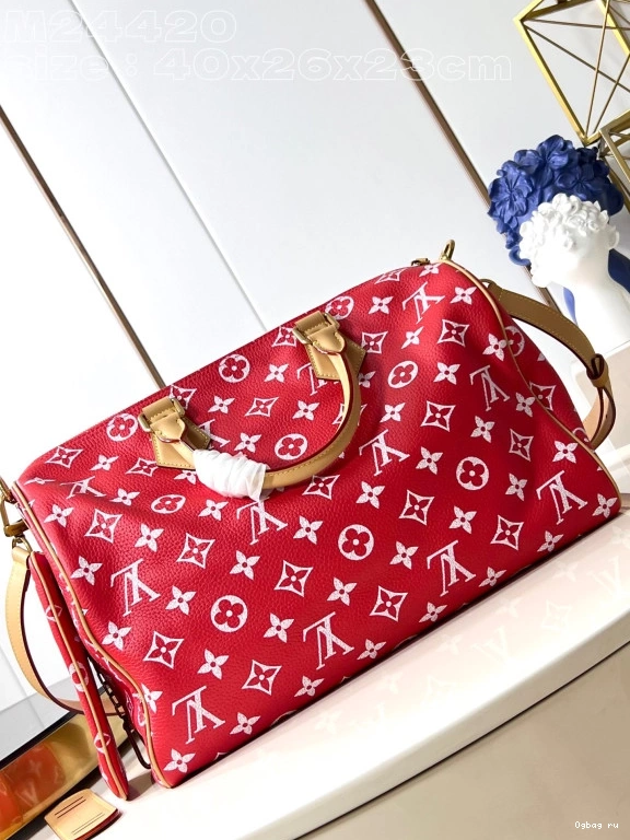 40 SPEEDY Louis Vuitton 0709
